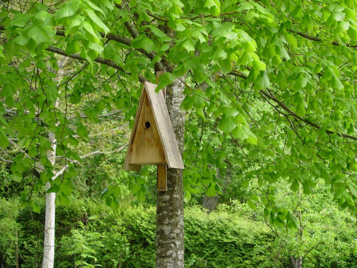 Ferienwohnung Geismayr Dornbirn Kültér fotó
